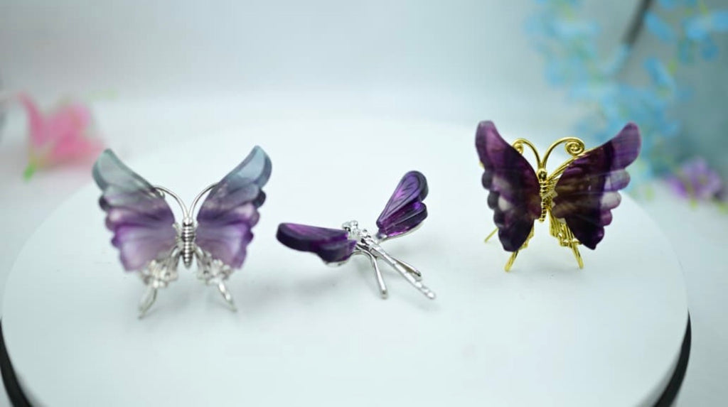 Multi Fluorite Butterfly butterflies
