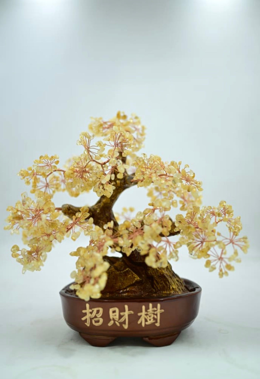 Amethyst Bonsai Crystal Tree

Citrine Bonsai Crystal Tree

Amethyst-Citrine Mix Bonsai Tree

Seven Chakra Bonsai Crystal Tree