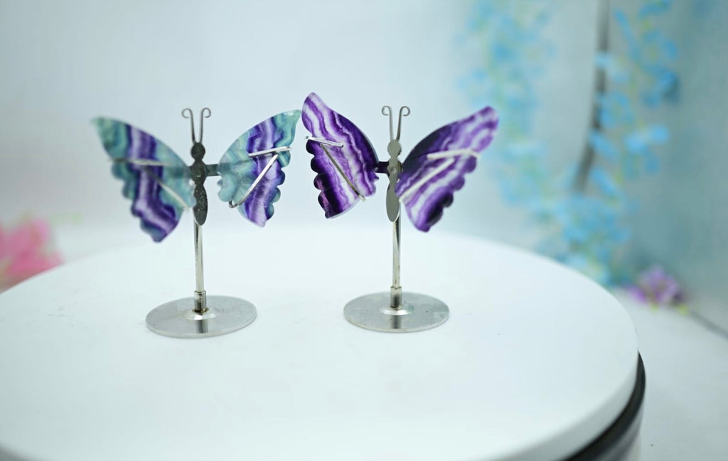 Multi Fluorite Butterfly butterflies