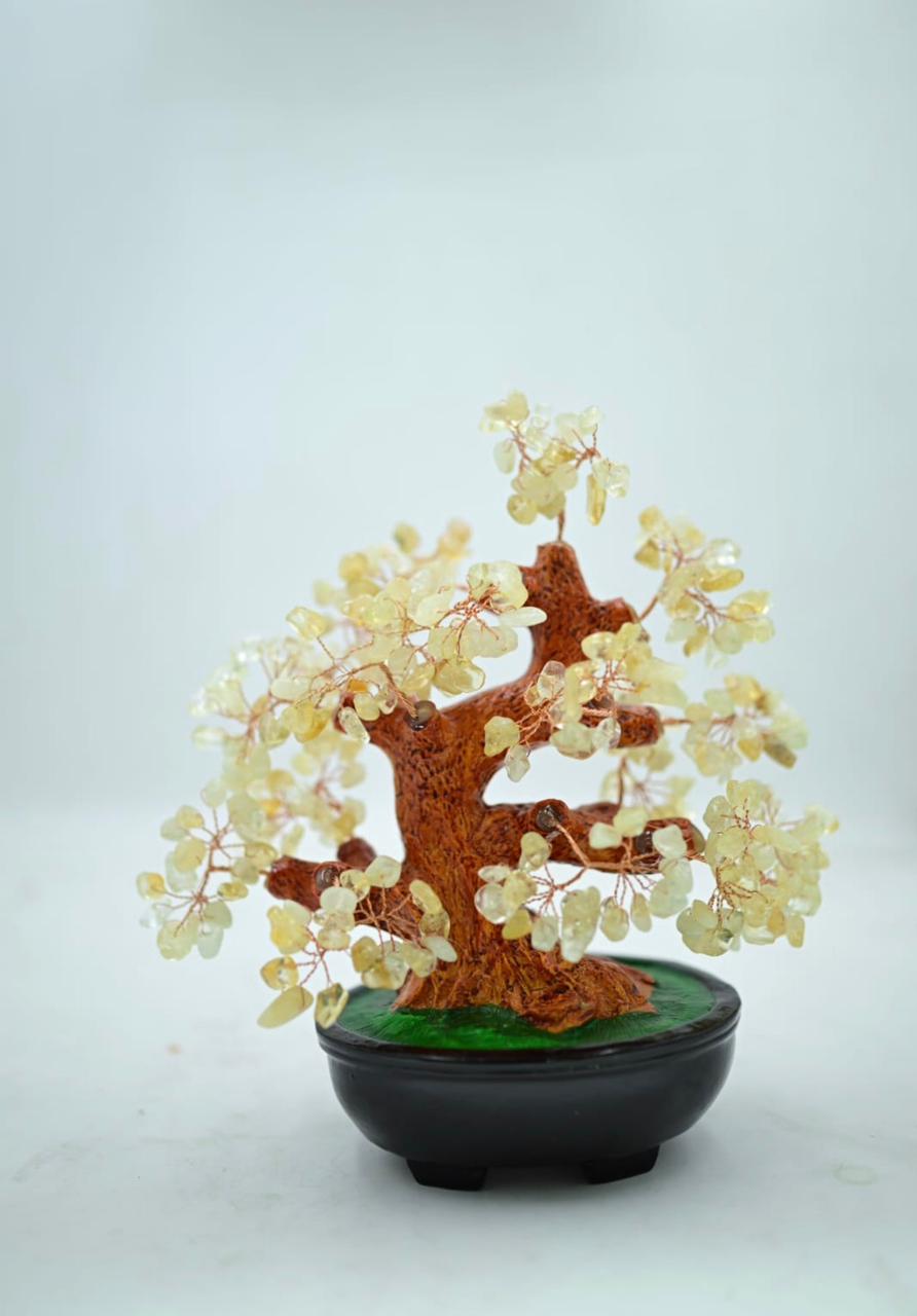 * Green Aventurine Bonsai Tree * Citrine Bonsai Tree * Seven Chakra Bonsai Tree * Amethyst Bonsai Tree * Rose Quartz Bonsai Tree