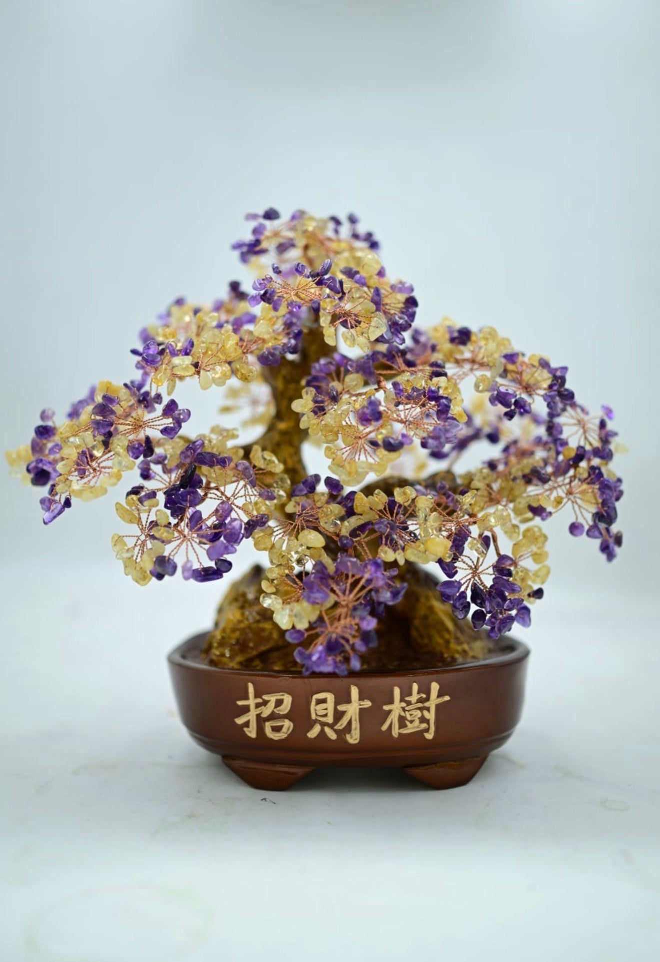 Amethyst Bonsai Crystal Tree

Citrine Bonsai Crystal Tree

Amethyst-Citrine Mix Bonsai Tree

Seven Chakra Bonsai Crystal Tree