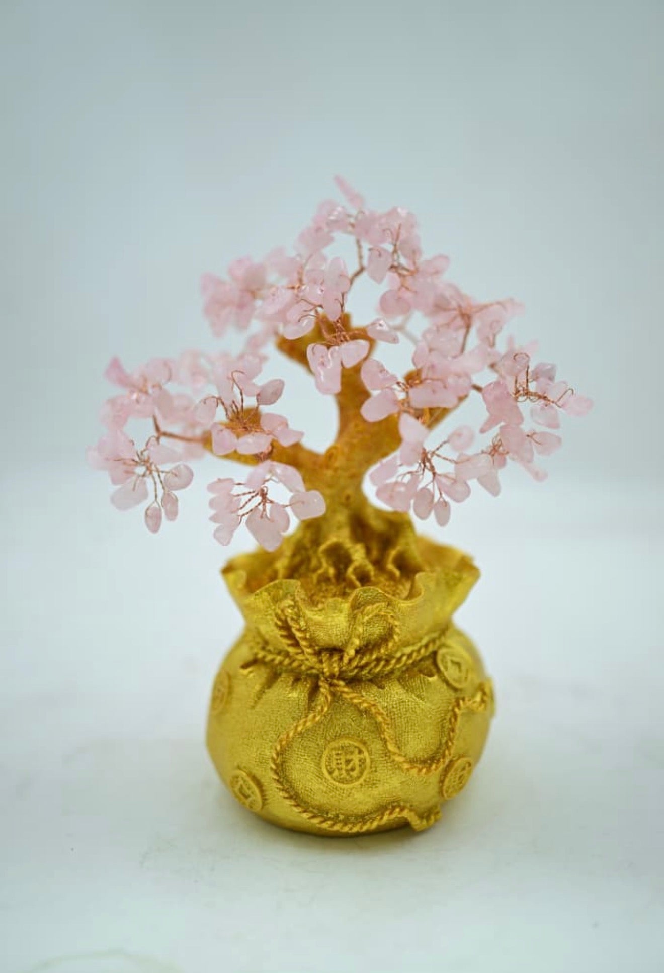 • Green Aventurine Money Bag Tree
• Seven Chakra Money Bag Tree
• Rose Quartz Money Bag Tree
• Amethyst Money Bag Tree