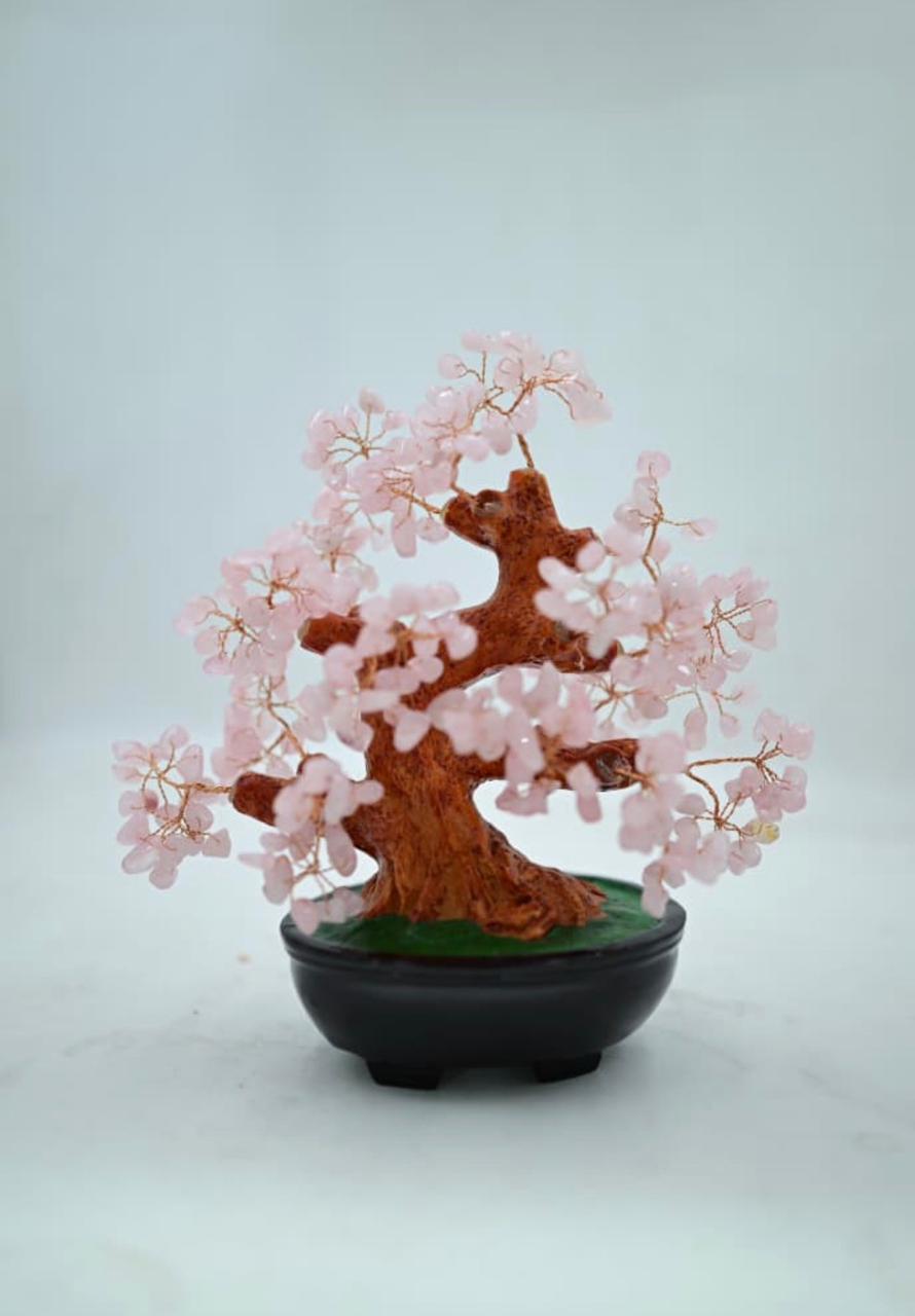 * Green Aventurine Bonsai Tree * Citrine Bonsai Tree * Seven Chakra Bonsai Tree * Amethyst Bonsai Tree * Rose Quartz Bonsai Tree
